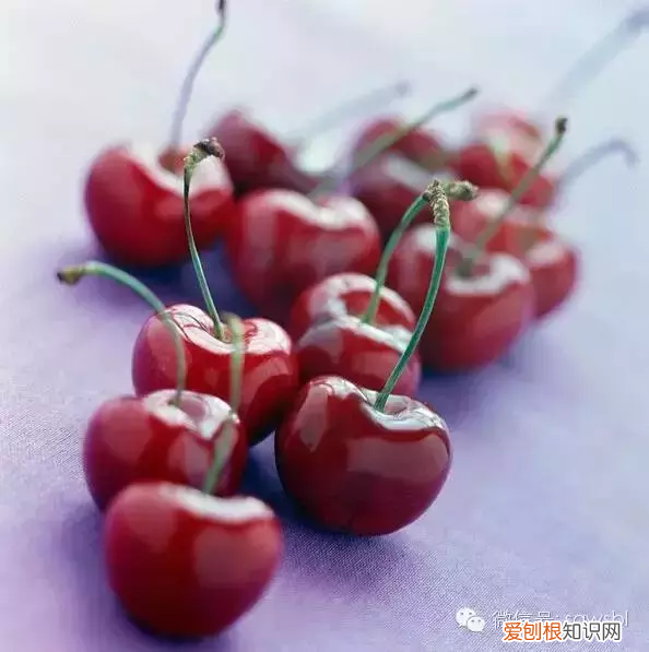 吃哪些水果可以淡化斑点? 什么水果可以去斑