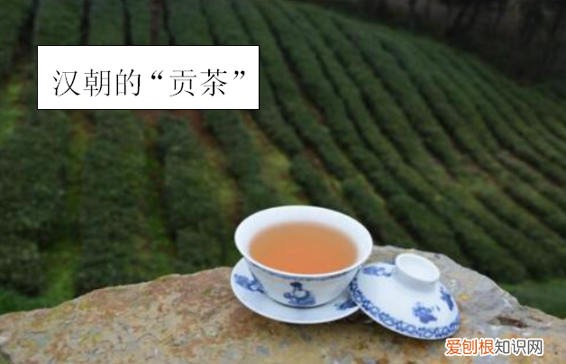 一起揭开饮茶的神秘面纱 饮茶文化