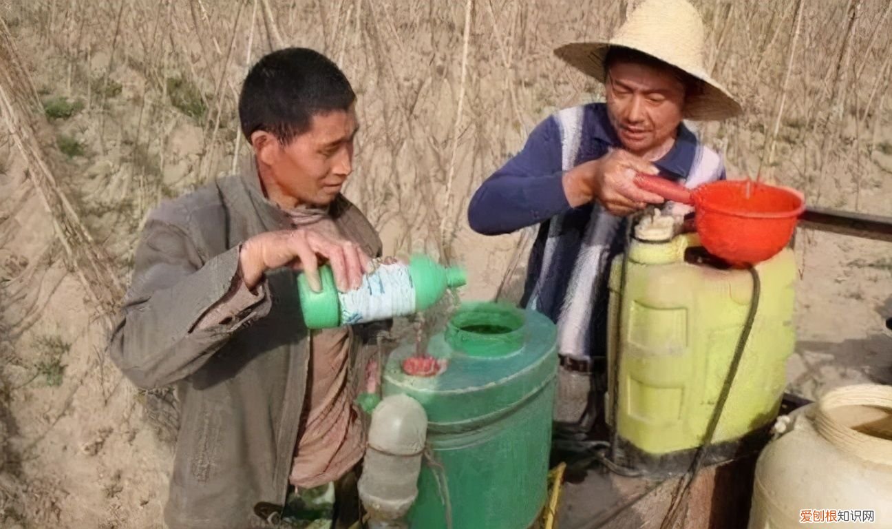 阿维菌素真的这么好用? 阿维菌素乳油