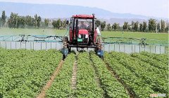 阿维菌素真的这么好用？ 阿维菌素乳油