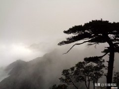 关于讣告你了解多少？ 讣告格式