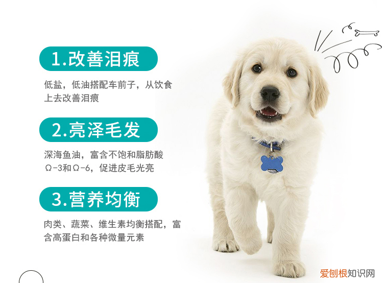 宝路狗粮怎么样 宝路怎么样