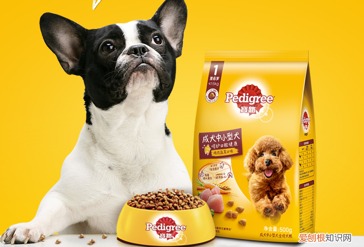 宝路狗粮怎么样 宝路怎么样