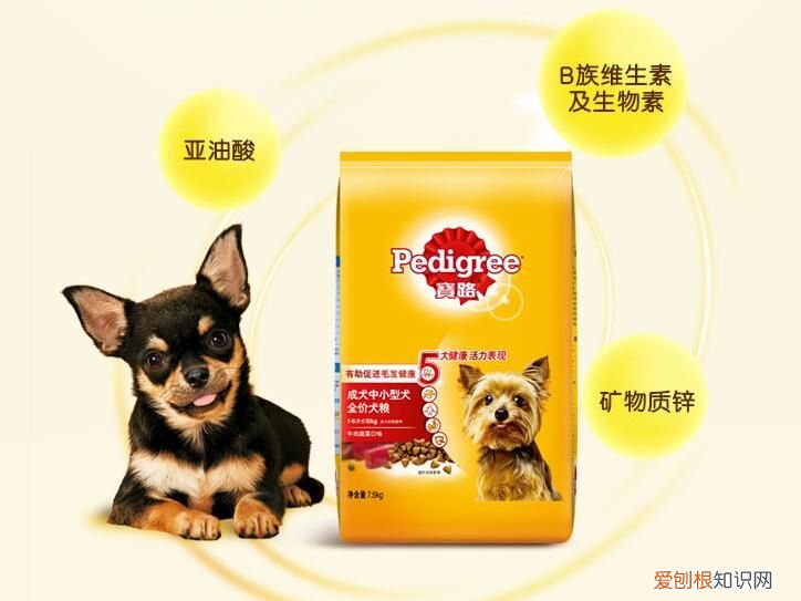 宝路狗粮怎么样 宝路怎么样