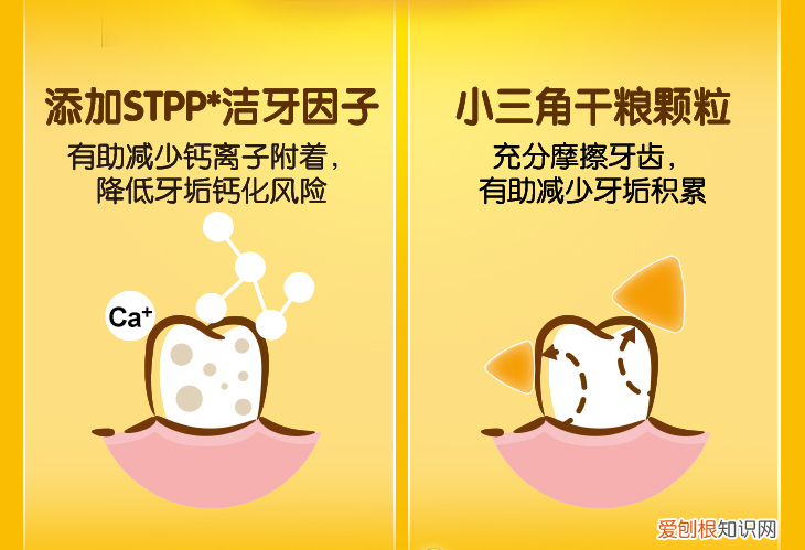 宝路狗粮怎么样 宝路怎么样