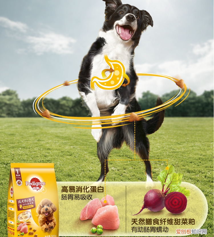 宝路狗粮怎么样 宝路怎么样