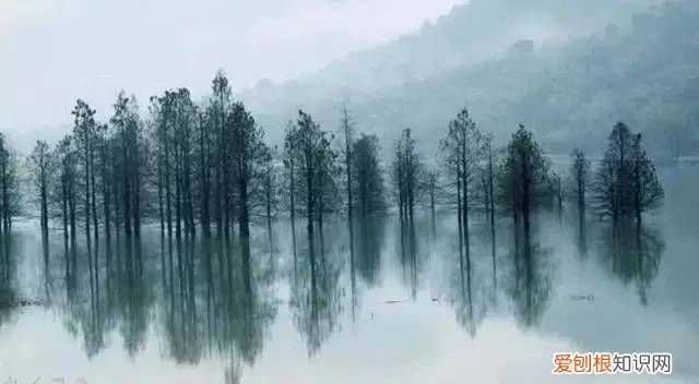 内心强大人的六大特征 内心强大的人