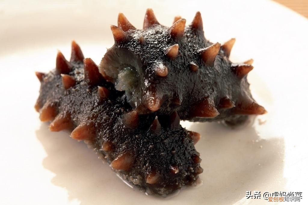 你知道干海参怎么泡发吗 干海参的发法