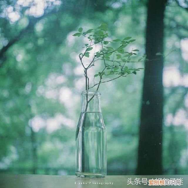 致十年后的自己一段话 写给十年后的自己