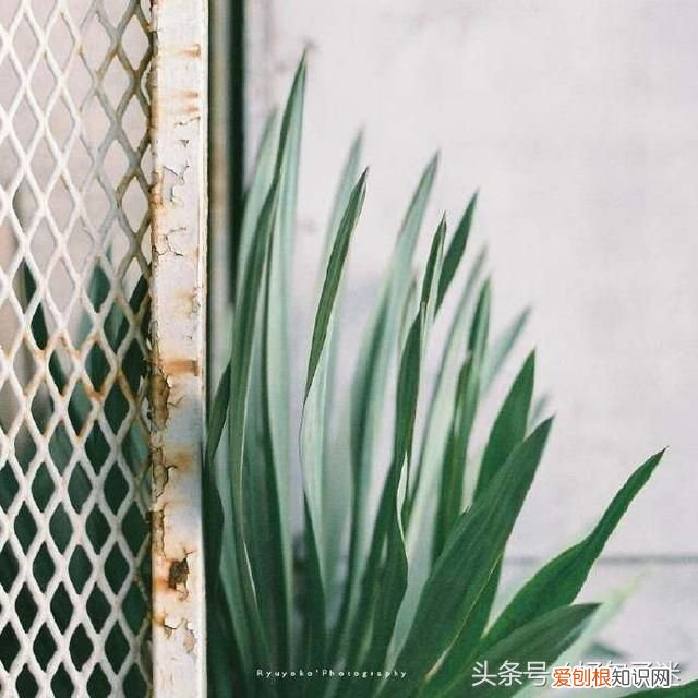 致十年后的自己一段话 写给十年后的自己