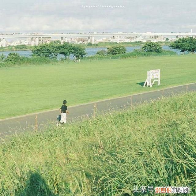 致十年后的自己一段话 写给十年后的自己