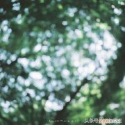 致十年后的自己一段话 写给十年后的自己