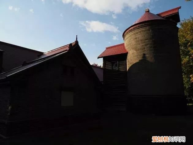 照片选择RAW格式好还是选择JPG格式好? jpg格式图片