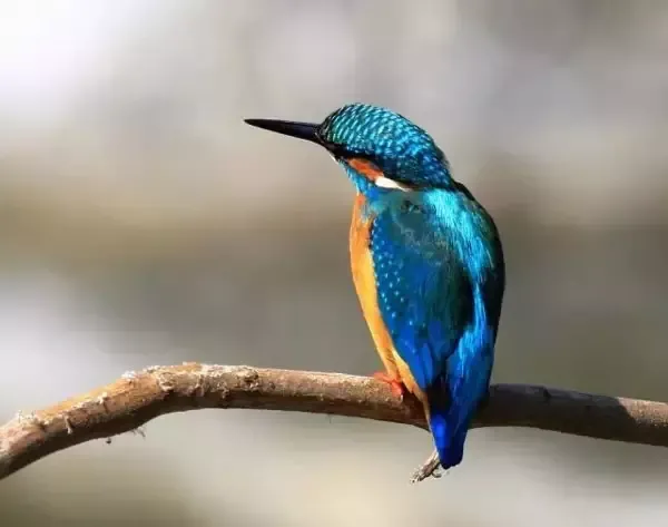 中国10大传统手工艺 民间手工艺