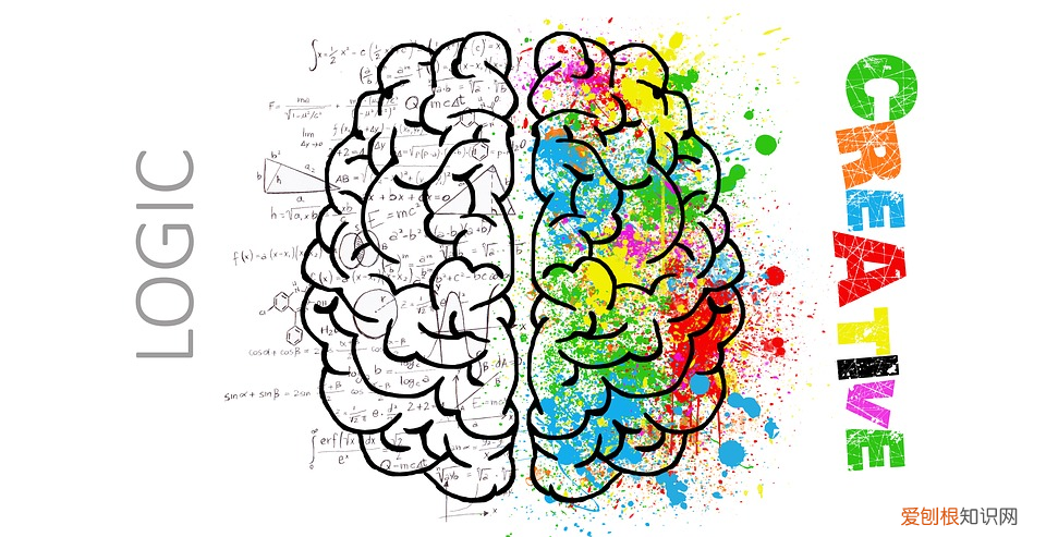 最强大脑的超级记忆术，他们是怎样练就的？ 超级记忆术