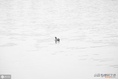 民间白事礼仪流程常识 红白喜事礼仪大全