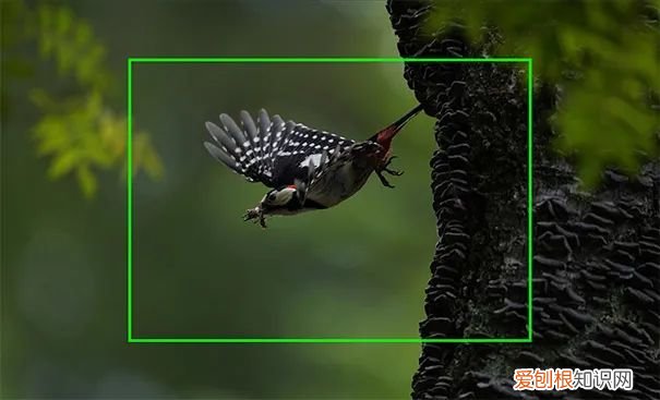 新手入坑一定要选全画幅么? 全画幅是什么意思