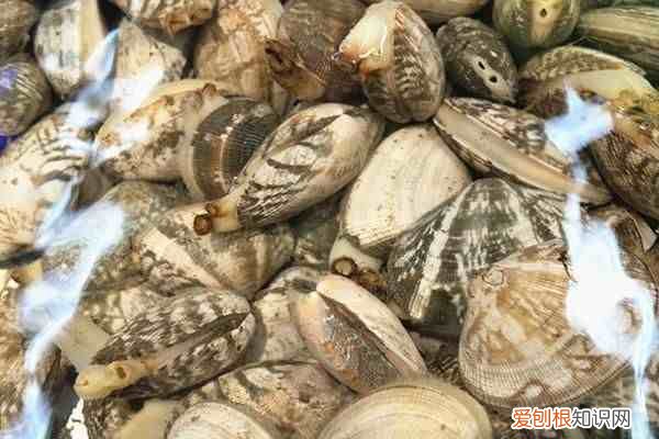 尿毒症是怎么来的有哪些原因 尿毒症是怎么引起的