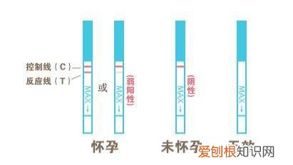 早孕试纸怎么使用？ 试纸怎么看