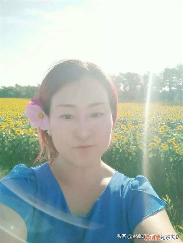 张北草原天路，每一段都是绝美风景 张北草原天路住宿