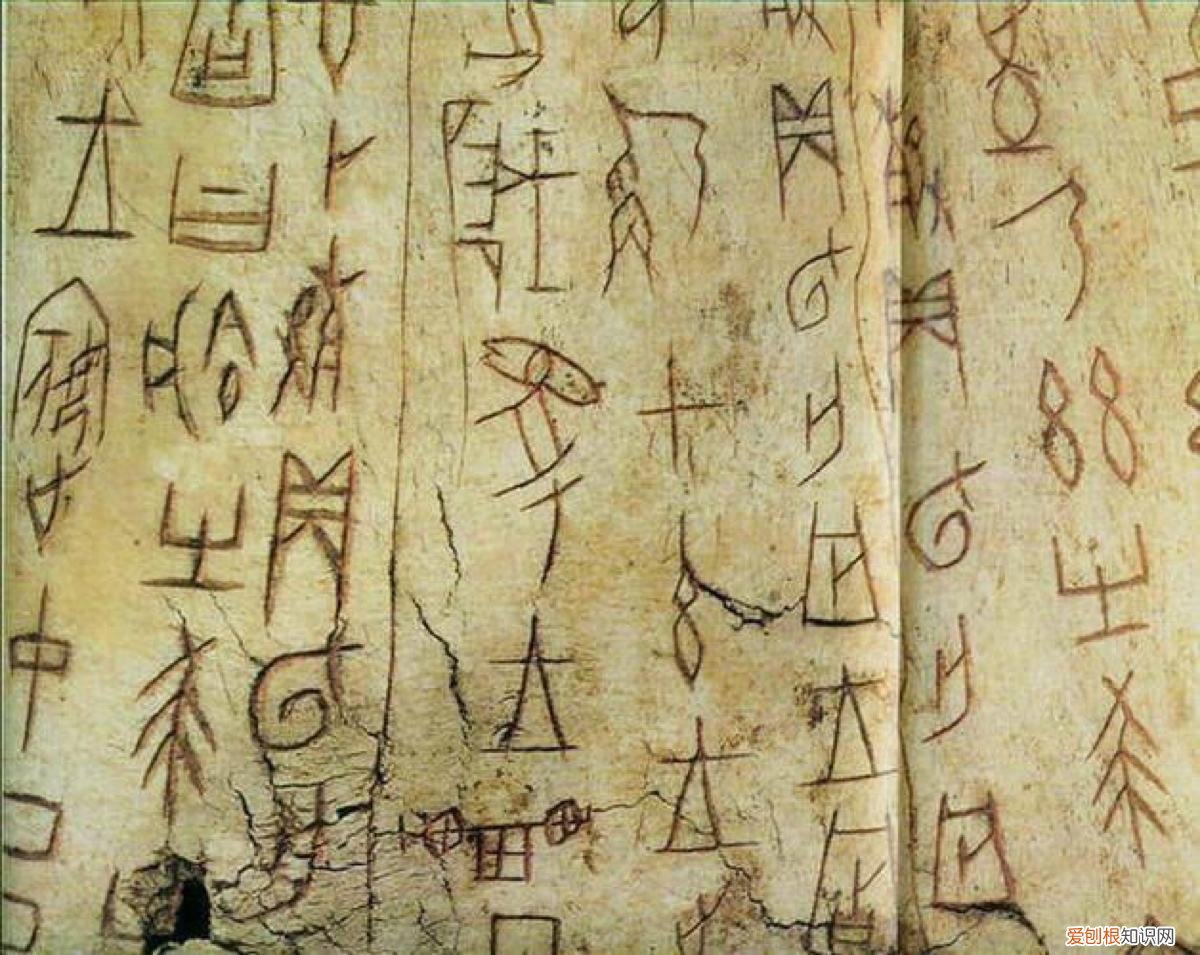 正确读音为“音bǔ” 卜姓怎么念