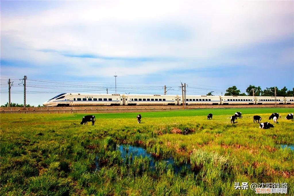c开头是什么车？搞不懂的“字母”，今天全部弄清楚