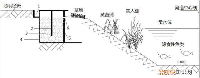 万里长江最终汇入的是什么海？长江水最终流入的是东海