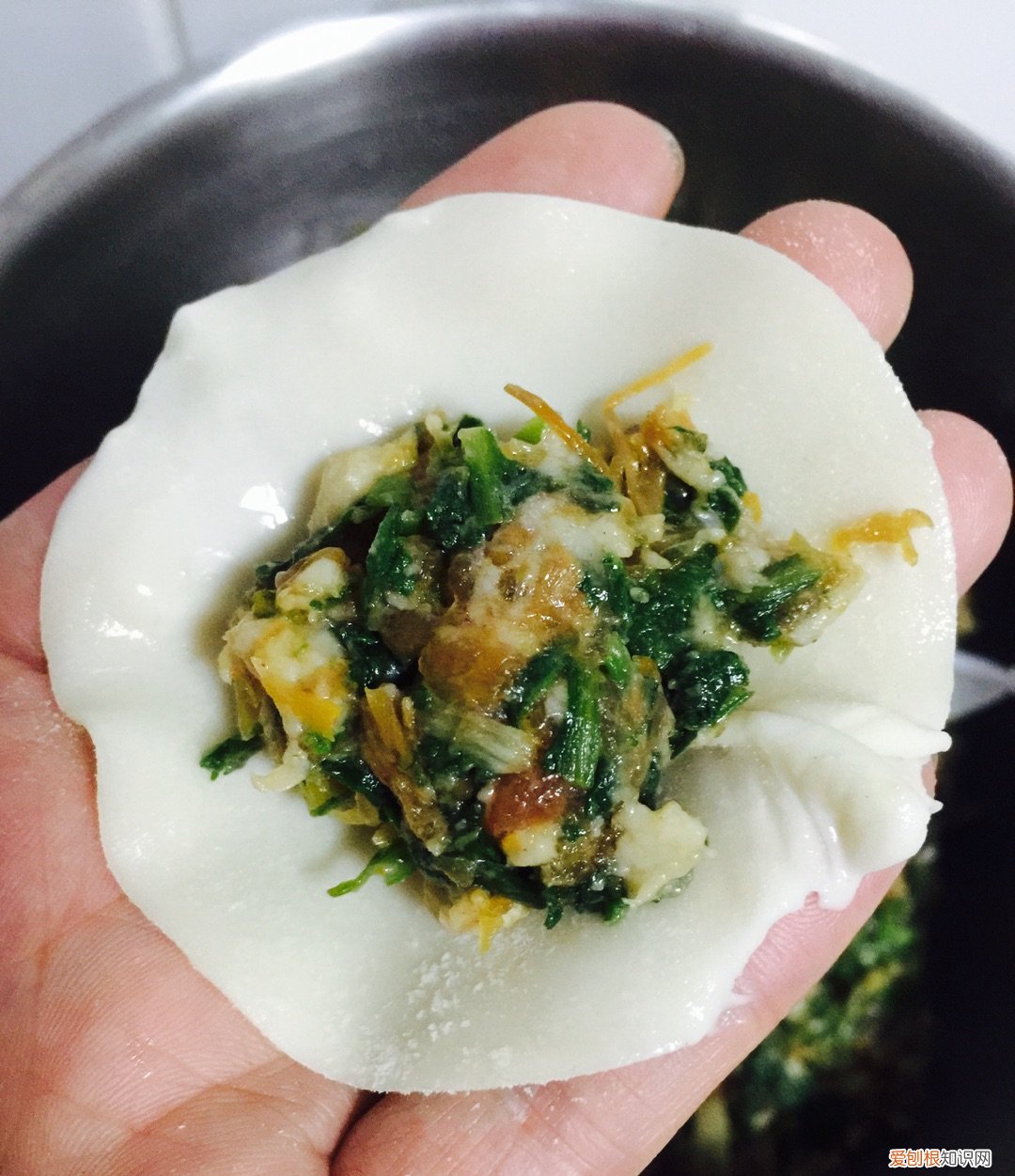 附：15种饺子馅调法，包水饺不用愁 饺子馅的种类大全