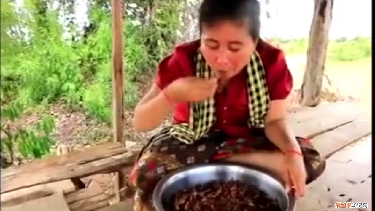沙漠蝗虫有毒吗？可不可以食用 沙漠蝗虫能吃吗