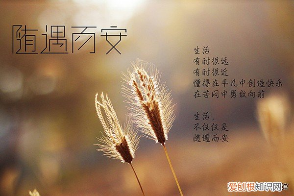 抖音里点赞量最高的爆款文案 抖音点赞最火最高句子