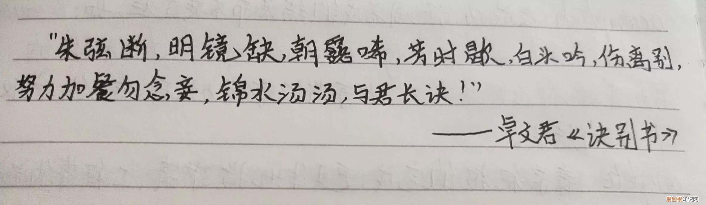表达自己对恋人的喜爱 为什么要给爱的人抄上林赋