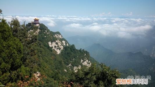 分别是大熊猫、金丝猴、朱鹮、羚牛 秦岭四宝是指什么