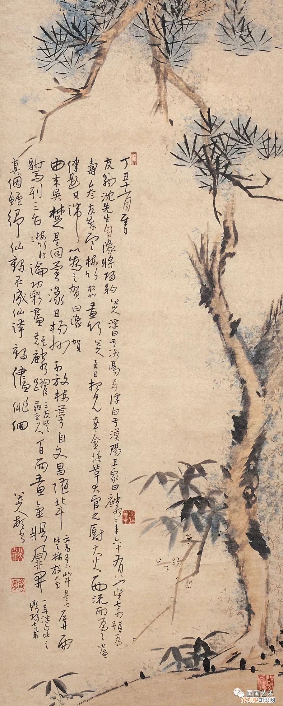 指松、竹、梅三种植物 岁寒三友是指哪三个植物
