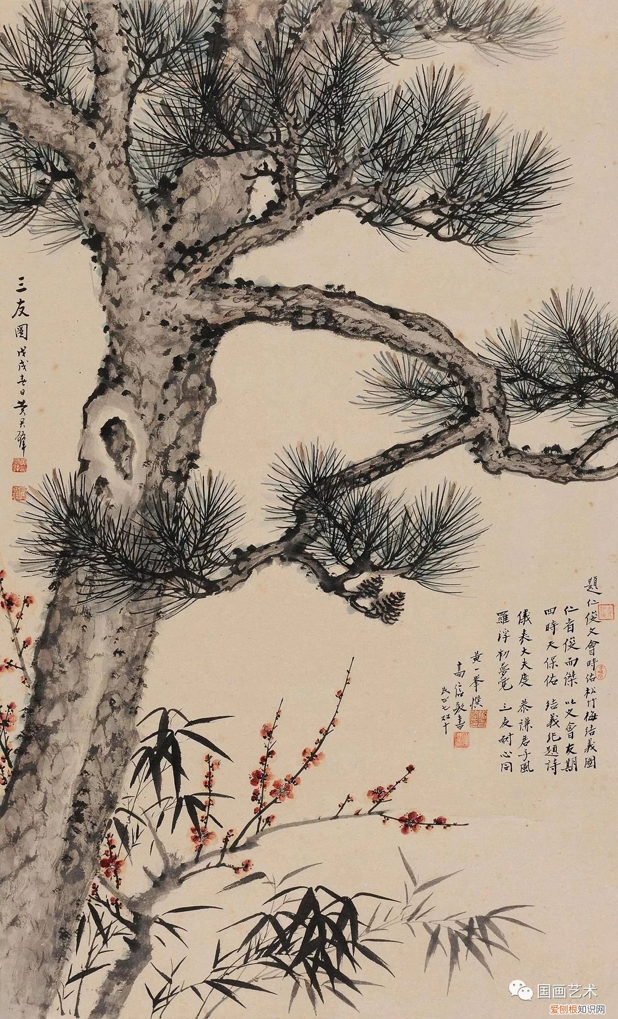 指松、竹、梅三种植物 岁寒三友是指哪三个植物