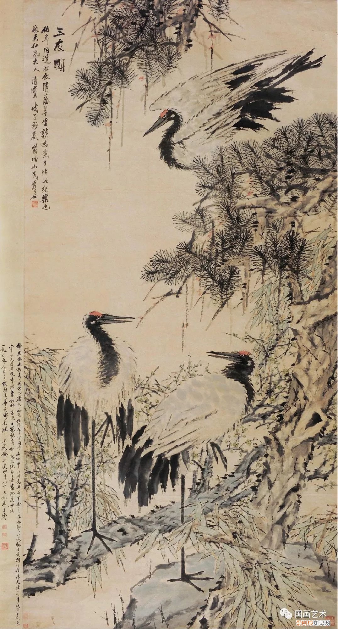 指松、竹、梅三种植物 岁寒三友是指哪三个植物
