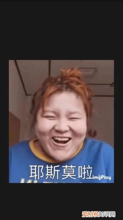 这些梗,你都玩过吗? 耶斯莫拉是什么意思