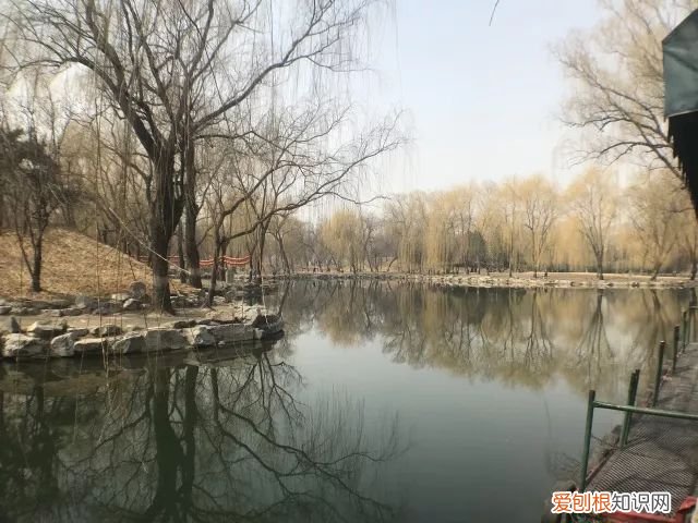 圆明园为何被称为“万园之园”? 万园之园指的是哪个园
