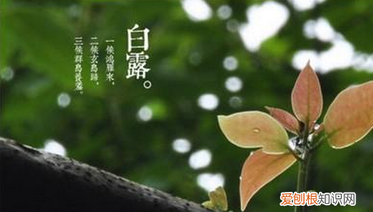 白露由来