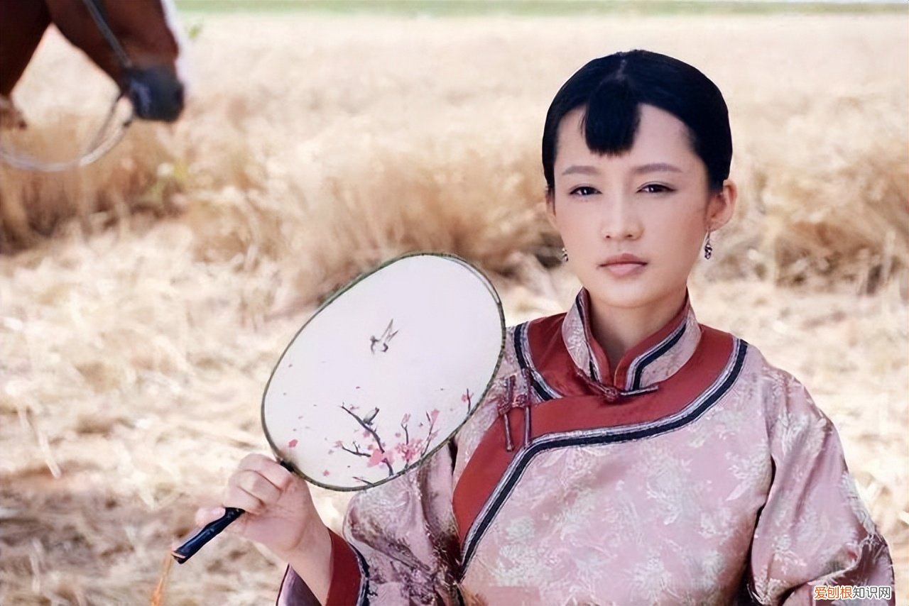 白鹿原泡枣是什么意思