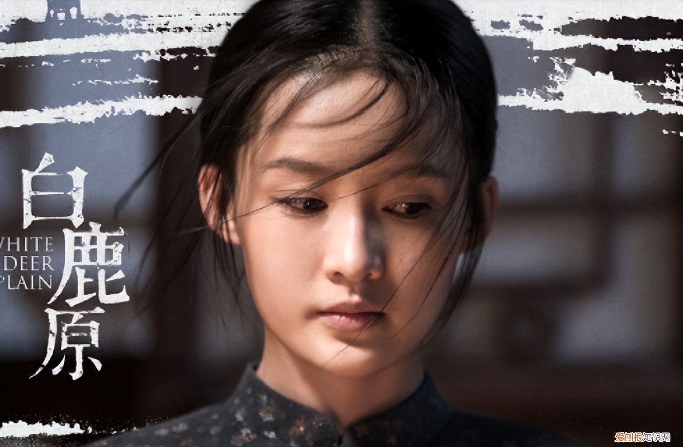 白鹿原泡枣是什么意思