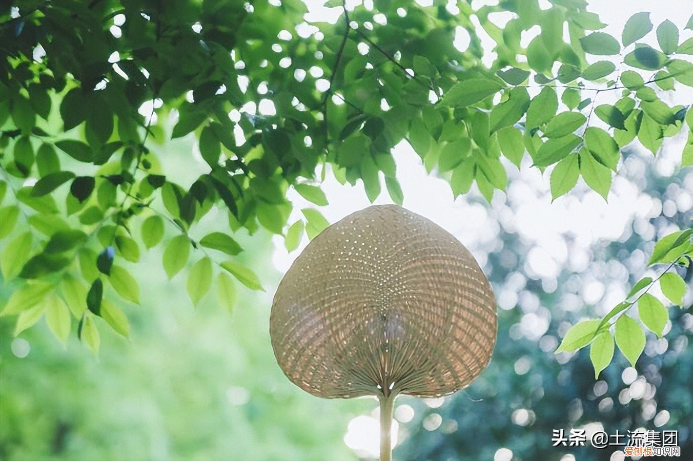 今年几月几号入伏？入伏具体时间是7月16日