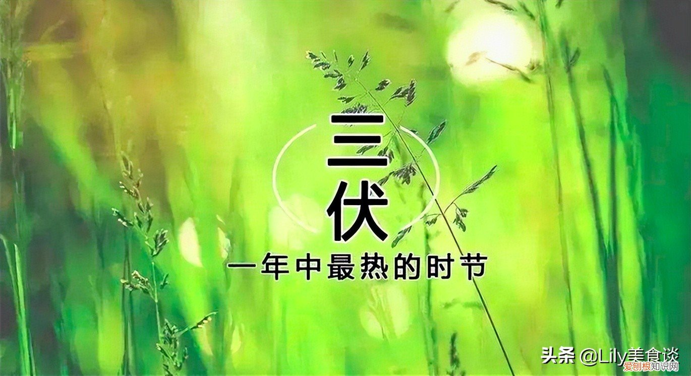 2022三伏天时间表出炉 什么时候进入三伏天2022年