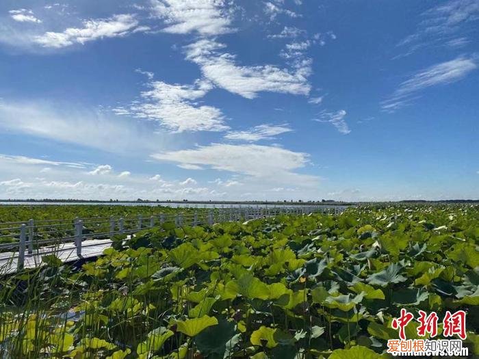 查干湖在哪个省哪个市？位于吉林省西北部的松原市