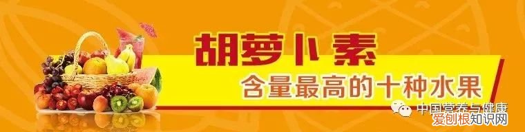 膳食纤维最高的十种蔬菜排名 哪些蔬菜纤维素高