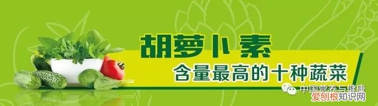膳食纤维最高的十种蔬菜排名 哪些蔬菜纤维素高