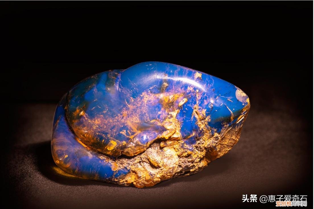 附：世界上最珍贵的几种琥珀 真正的琥珀多少钱一克