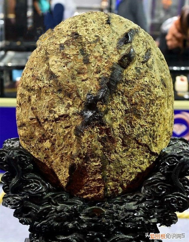 附：世界上最珍贵的几种琥珀 真正的琥珀多少钱一克