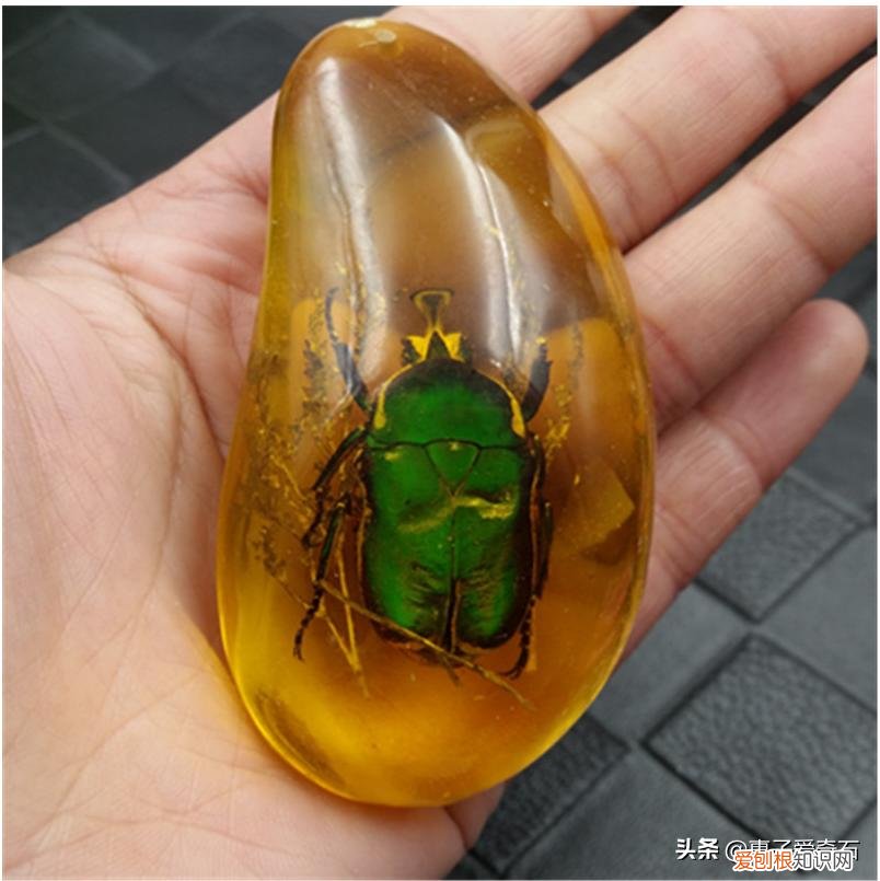 附：世界上最珍贵的几种琥珀 真正的琥珀多少钱一克