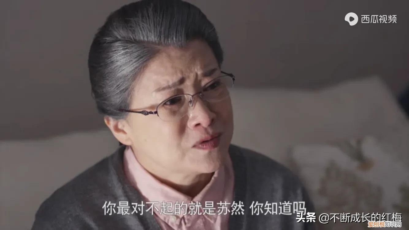 丈夫出轨惹官司，妻子联手智斗小三 守婚如玉剧情介绍