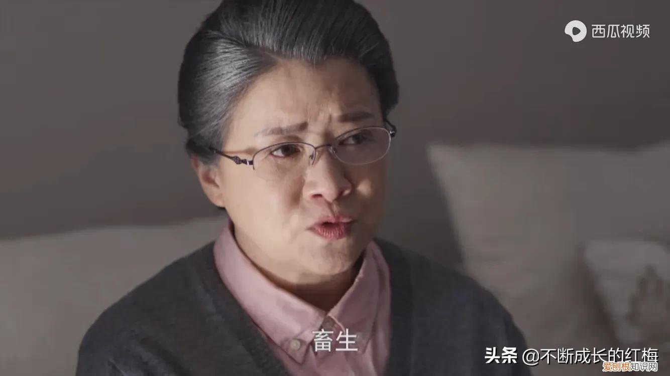 丈夫出轨惹官司，妻子联手智斗小三 守婚如玉剧情介绍